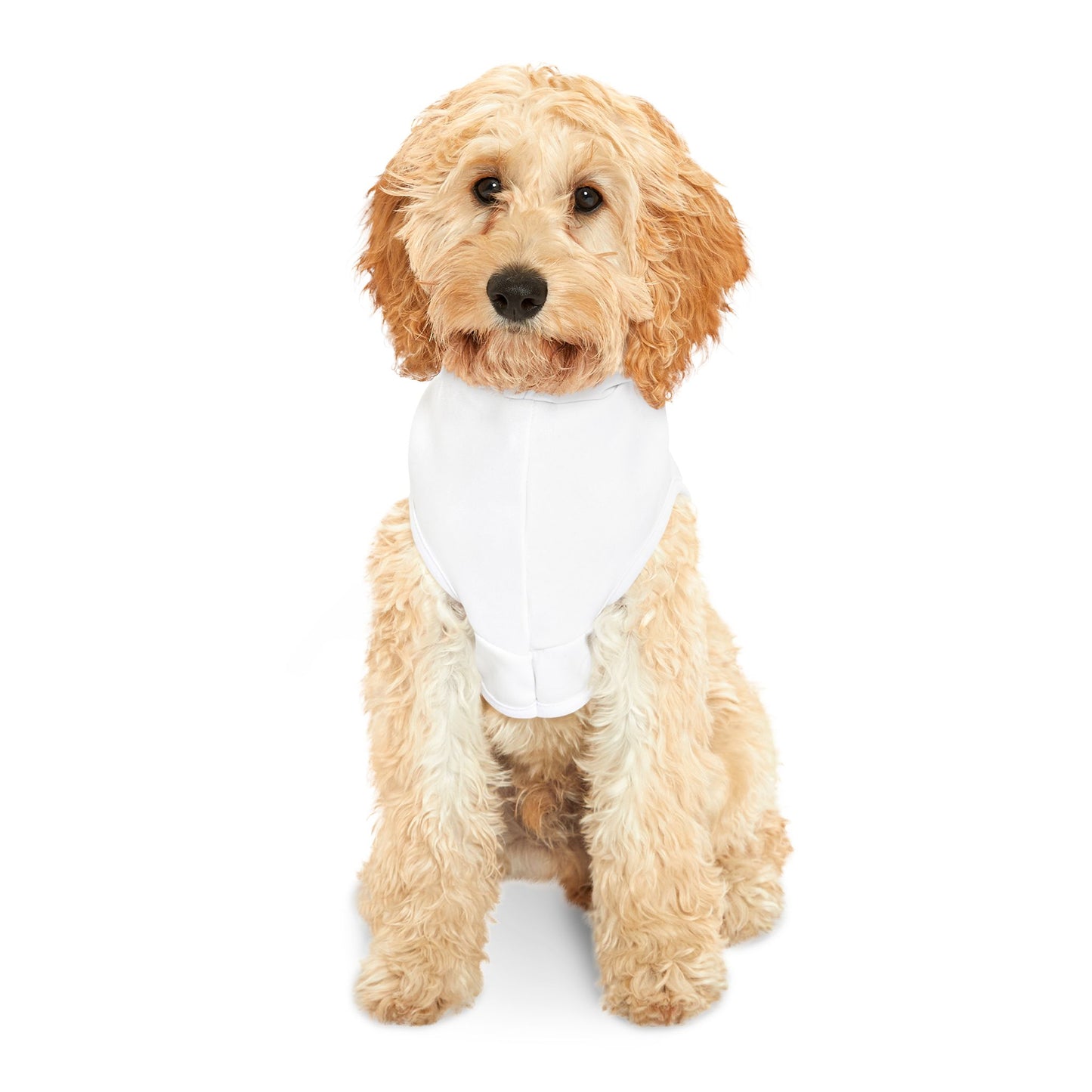 Dog Hoodie 'Pet me to relieve stress'